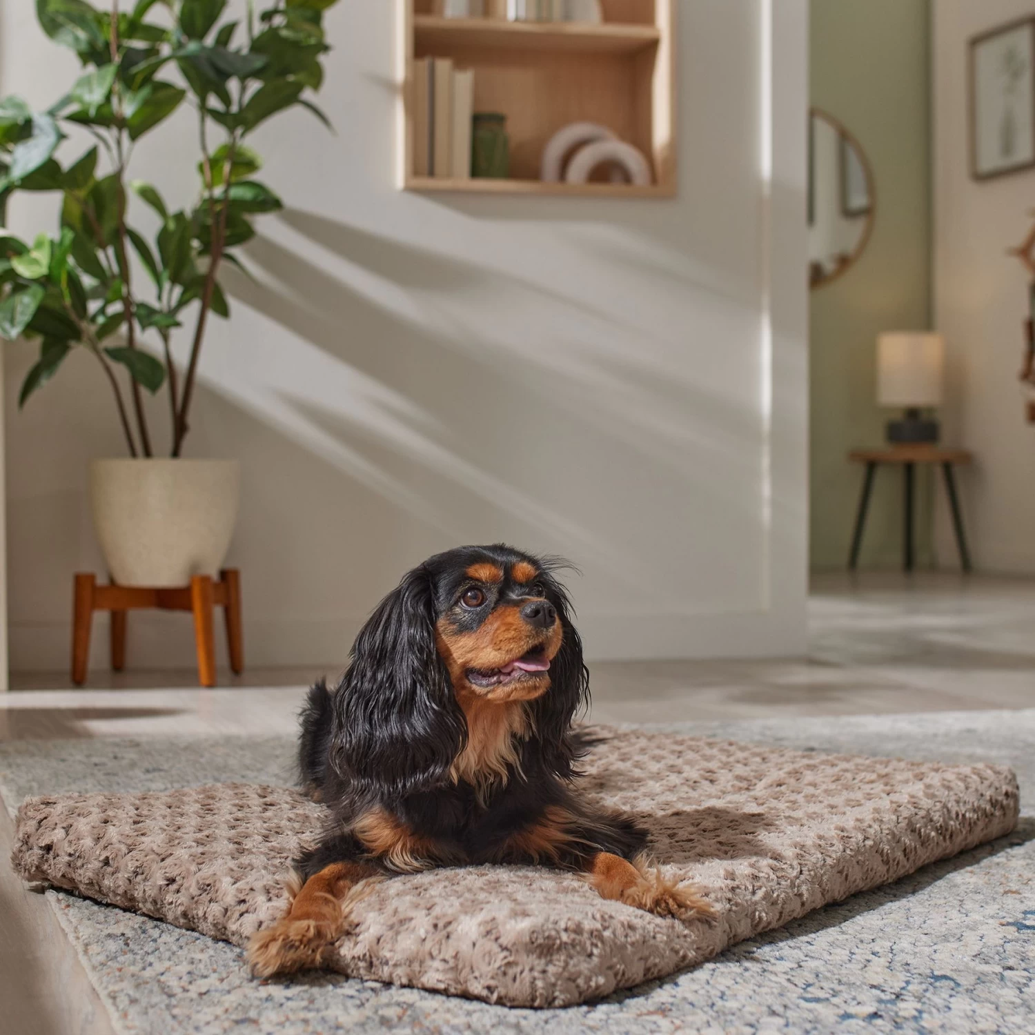 Frisco Swirl Dog Crate Mat 1 Frisco Swirl Dog Crate Mat