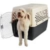 Frisco Plastic Dog & Cat Kennel, Almond & Black