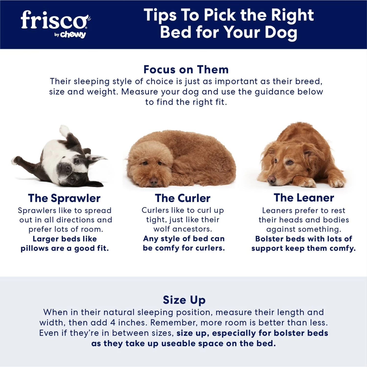 Frisco Plush Pillow Cat & Dog Bed W/ Removable Cover 5 Frisco Plush Pillow Cat & Dog Bed W/ Removable Cover - Image 5