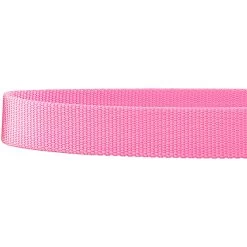 Frisco Solid Nylon Martingale Dog Collar With Buckle -Frisco 139177 PT5. AC SS1800 V1620068877