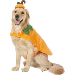 Frisco Pumpkin Dog & Cat Costume 11 Frisco Pumpkin Dog & Cat Costume -Frisco 144446 PT2. AC SS1800 V1567174700