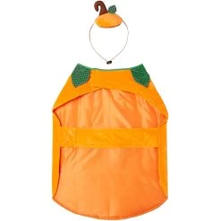 Frisco Pumpkin Dog & Cat Costume 14 Frisco Pumpkin Dog & Cat Costume -Frisco 144446 PT5. AC SS1800 V1567177111