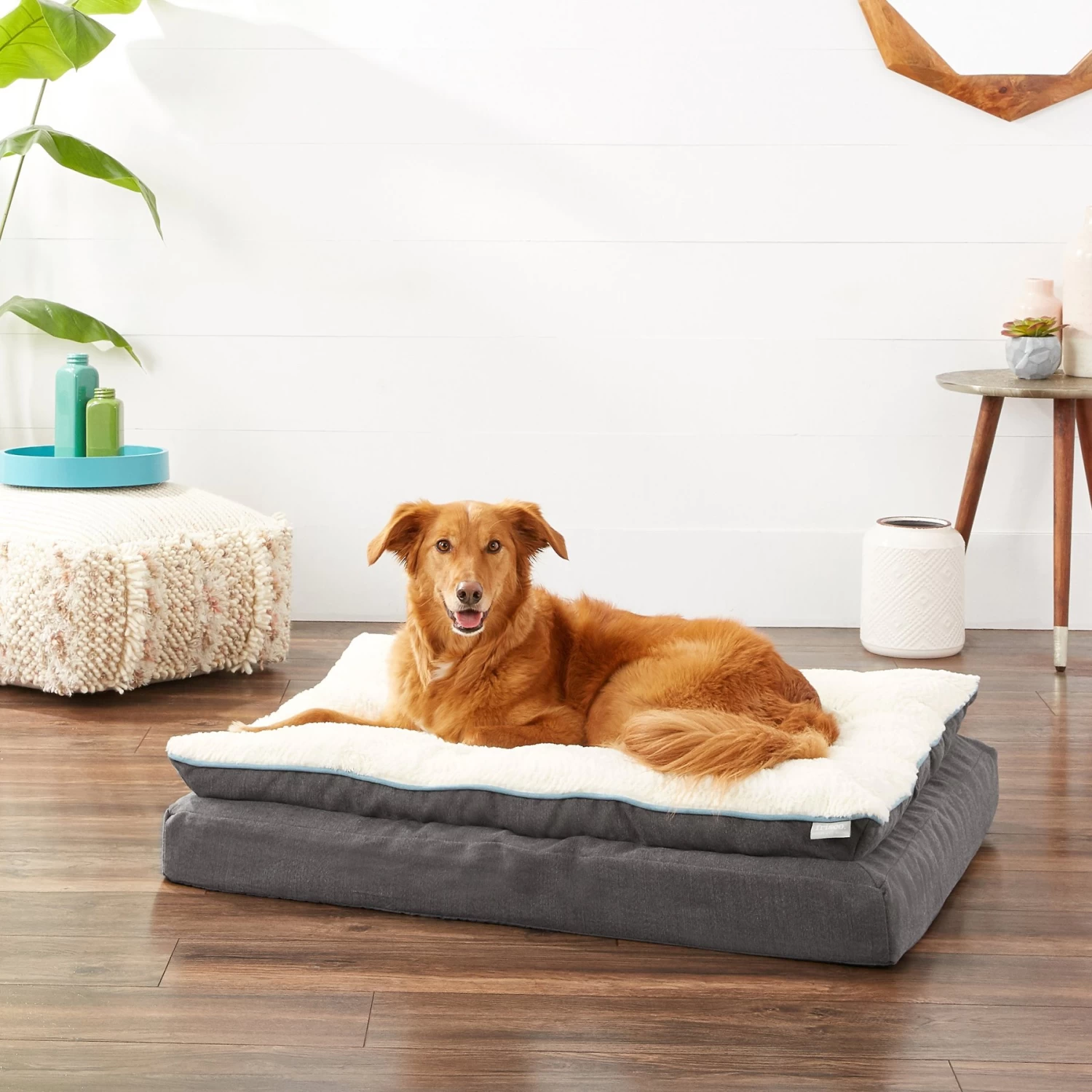 Frisco Plush Orthopedic Pillowtop Dog Bed W/Removable Cover 1 Frisco Plush Orthopedic Pillowtop Dog Bed W/Removable Cover