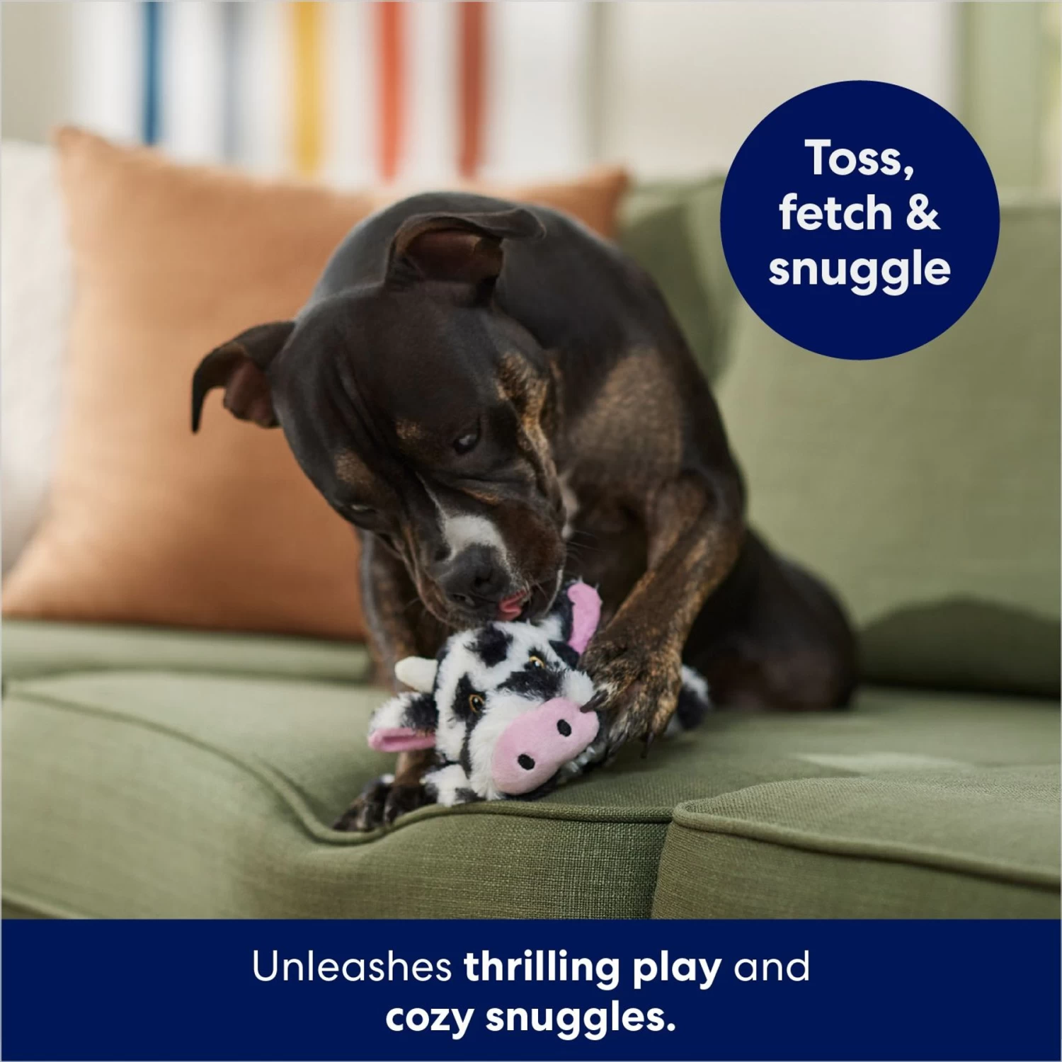 Frisco Cow Plush Squeaky Dog Toy 3 Frisco Cow Plush Squeaky Dog Toy - Image 3