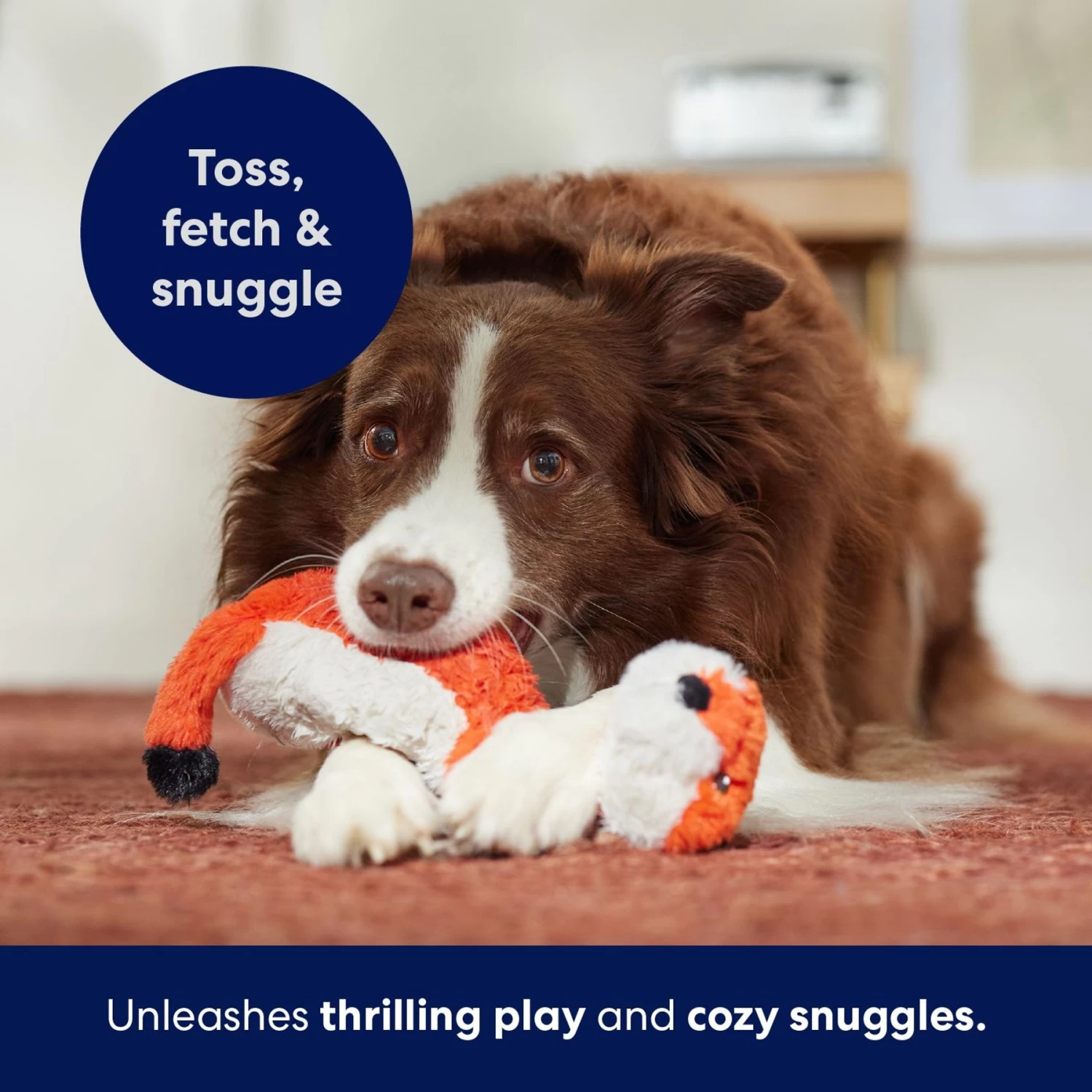 Frisco Fox Skinny Plush Squeaky Dog Toy 5 Frisco Fox Skinny Plush Squeaky Dog Toy - Image 5