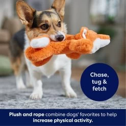 Frisco Fox Plush With Inside Rope Squeaky Dog Toy 10 Frisco Fox Plush With Inside Rope Squeaky Dog Toy -Frisco 147065 PT4. AC SS1800 V1695671059