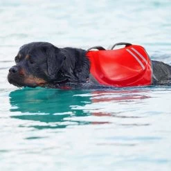 Frisco Neoprene Dog Life Jacket 17 Frisco Neoprene Dog Life Jacket -Frisco 152465 PT8. AC SS1800 V1559154728