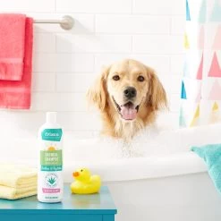 Frisco Oatmeal Dog & Cat Shampoo, Almond Scent 7 Frisco Oatmeal Dog & Cat Shampoo, Almond Scent -Frisco 152573 PT2. AC SS1800 V1551302798
