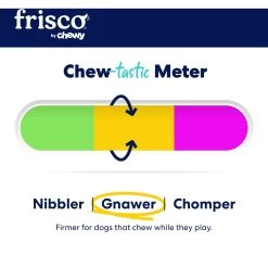 Frisco Fetch Squeaky Tennis Ball Dog Toy 10 Frisco Fetch Squeaky Tennis Ball Dog Toy -Frisco 152803 PT3. AC SS1800 V1691776572