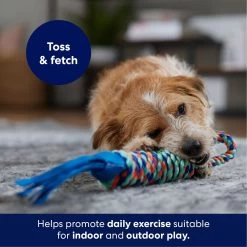 Frisco Rope With Handle & Tassels Dog Toy -Frisco 152840 PT3. AC SS1800 V1695241916