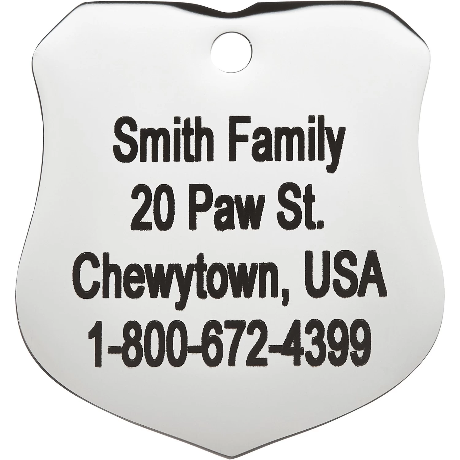 Frisco Stainless Steel Personalized Dog & Cat ID Tag, Badge 4 Frisco Stainless Steel Personalized Dog & Cat ID Tag, Badge - Image 4