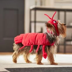 Frisco Red Lobster Dog & Cat Costume -Frisco 158723 PT6. AC SS1800 V1659023888
