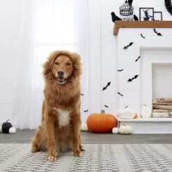 Frisco Lion Mane Dog & Cat Costume 10 Frisco Lion Mane Dog & Cat Costume -Frisco 158732 PT7. AC SS1800 V1691686202