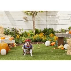 Frisco Front Walking Cowboy Dog & Cat Costume 9 Frisco Front Walking Cowboy Dog & Cat Costume -Frisco 158842 PT3. AC SS1800 V1567176047