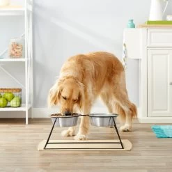 Frisco Pyramid Elevated Stainless Steel Double Diner Dog & Cat Bowl 7 Frisco Pyramid Elevated Stainless Steel Double Diner Dog & Cat Bowl -Frisco 159884 PT3. AC SS1800 V1561123346