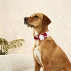 Frisco Jingle Bells Dog & Cat Holiday Collar With Bells, 1 Count 10 Frisco Jingle Bells Dog & Cat Holiday Collar With Bells, 1 Count -Frisco 160063 PT4. AC SS1800 V1568814193