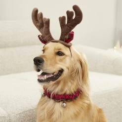 Frisco Holiday Antler Headband & Bell Collar Dog & Cat Costume 8 Frisco Holiday Antler Headband & Bell Collar Dog & Cat Costume -Frisco 160658 PT4. AC SS1800 V1568818037