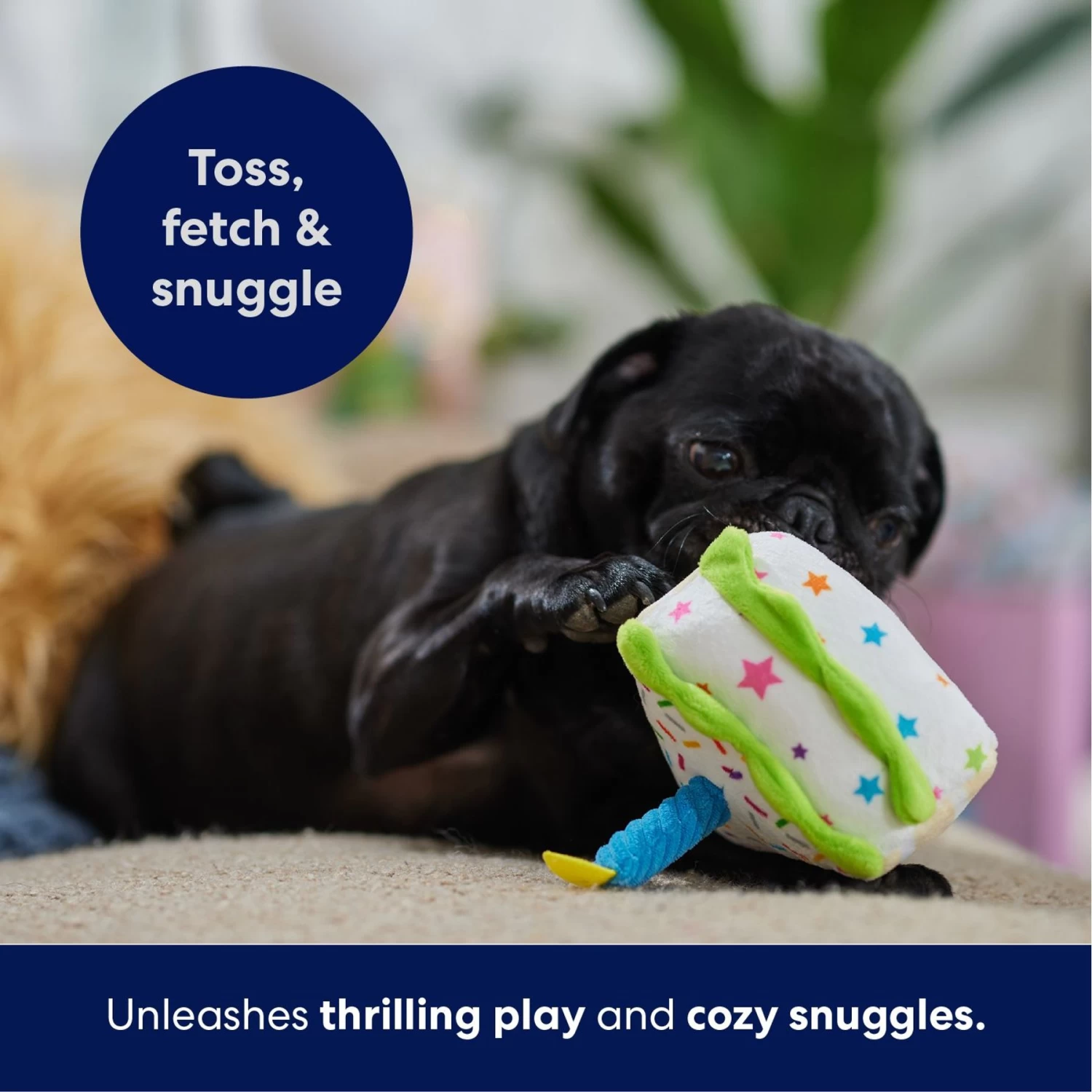 Frisco Birthday Cake Slice Plush Squeaky Dog Toy 5 Frisco Birthday Cake Slice Plush Squeaky Dog Toy - Image 5