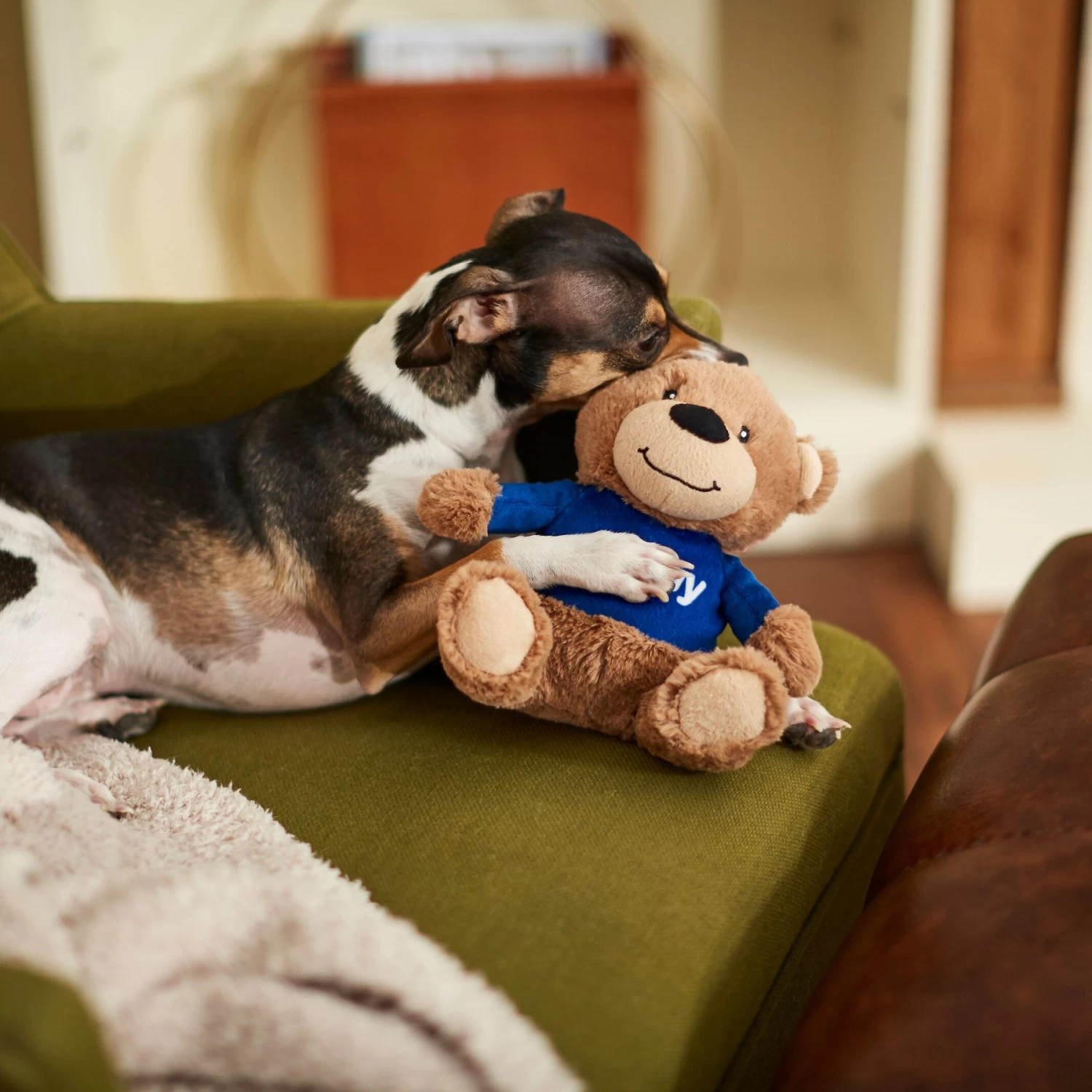 Frisco Chewy Bear Plush Squeaky Dog Toy 3 Frisco Chewy Bear Plush Squeaky Dog Toy - Image 3