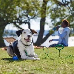 Frisco Easy Grip Stake With Tie Out Cable, Large -Frisco 166447 PT5. AC SS1800 V1701796826