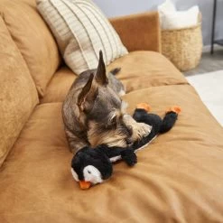 Frisco Penguin Skinny Plush Squeaky Dog Toy 5 Frisco Penguin Skinny Plush Squeaky Dog Toy -Frisco 174707 PT2. AC SS1800 V1573492672