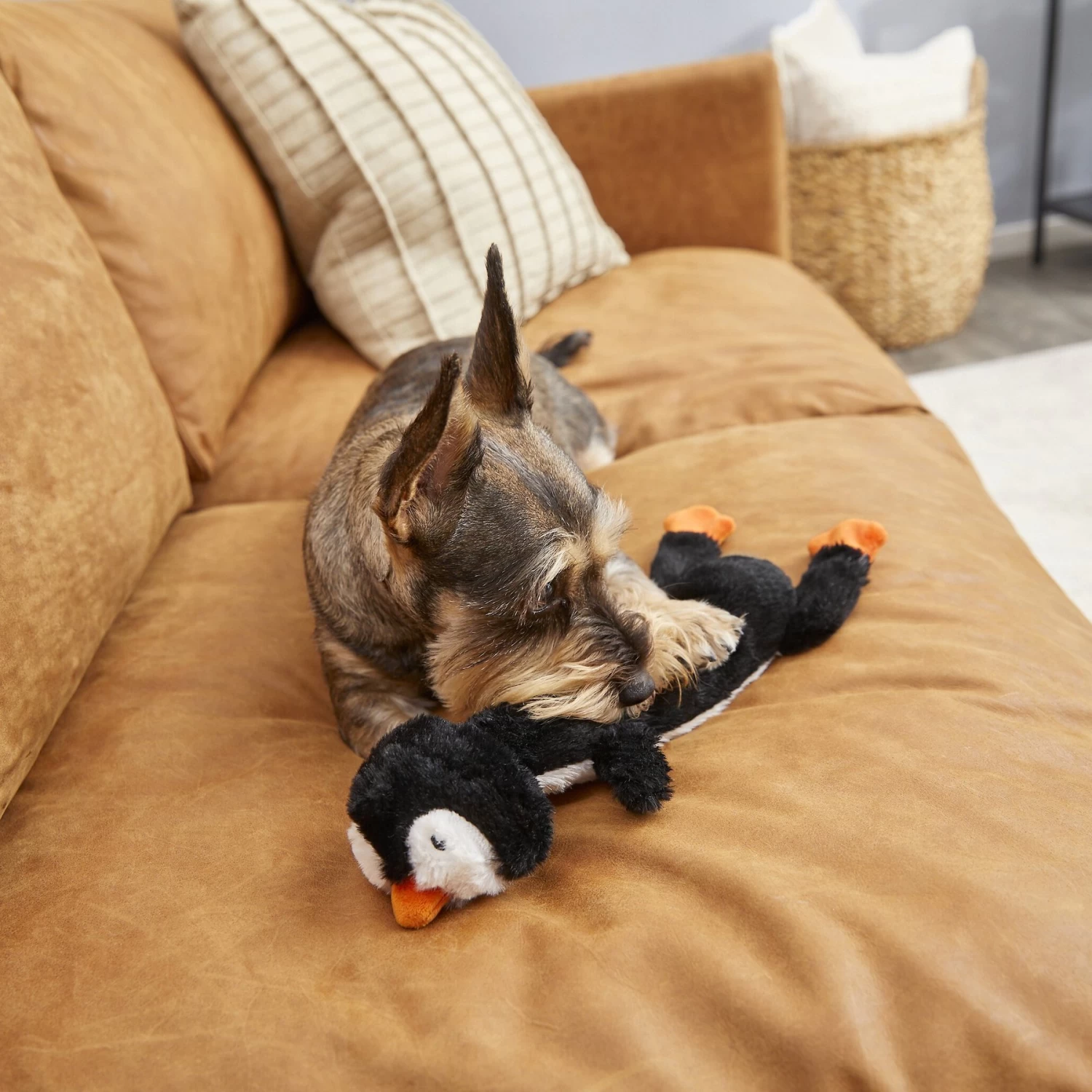 Frisco Penguin Skinny Plush Squeaky Dog Toy 3 Frisco Penguin Skinny Plush Squeaky Dog Toy - Image 3