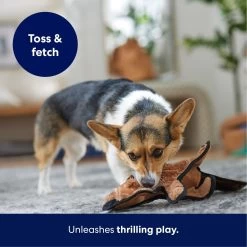 Frisco Beaver Stuffing-Free Flat Plush Squeaky Dog Toy 10 Frisco Beaver Stuffing-Free Flat Plush Squeaky Dog Toy -Frisco 174729 PT4. AC SS1800 V1695671063