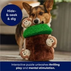Frisco Monkeys In Tree Hide & Seek Puzzle Plush Squeaky Dog Toy 12 Frisco Monkeys In Tree Hide & Seek Puzzle Plush Squeaky Dog Toy -Frisco 174759 PT5. AC SS1800 V1702598595