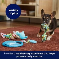 Frisco Little Friends Plush, Flyer & TPR Variety Pack Dog Toy -Frisco 177816 PT5. AC SS1800 V1691783909