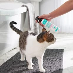 Frisco Aloe Hydrating Dog & Cat Spray, Sweet Nectar Scent 7 Frisco Aloe Hydrating Dog & Cat Spray, Sweet Nectar Scent -Frisco 192084 PT4. AC SS1800 V1589487682