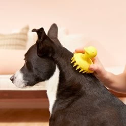 Frisco Rubber Duckie Dog & Cat Curry Brush -Frisco 206849 PT7. AC SS1800 V1600915945