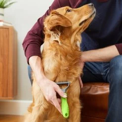 Frisco Dematting Double-Sided Dog & Cat Rake 9 Frisco Dematting Double-Sided Dog & Cat Rake -Frisco 206875 PT6. AC SS1800 V1680186444