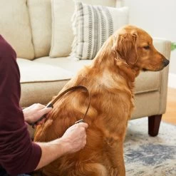 Frisco Shedding Blade Dog Brush, One Size 9 Frisco Shedding Blade Dog Brush, One Size -Frisco 206895 PT6. AC SS1800 V1680186099