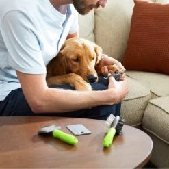 Frisco Beginner Grooming Kit For Dogs And Cats 16 Frisco Beginner Grooming Kit For Dogs And Cats -Frisco 206909 PT7. AC SS1800 V1680186156