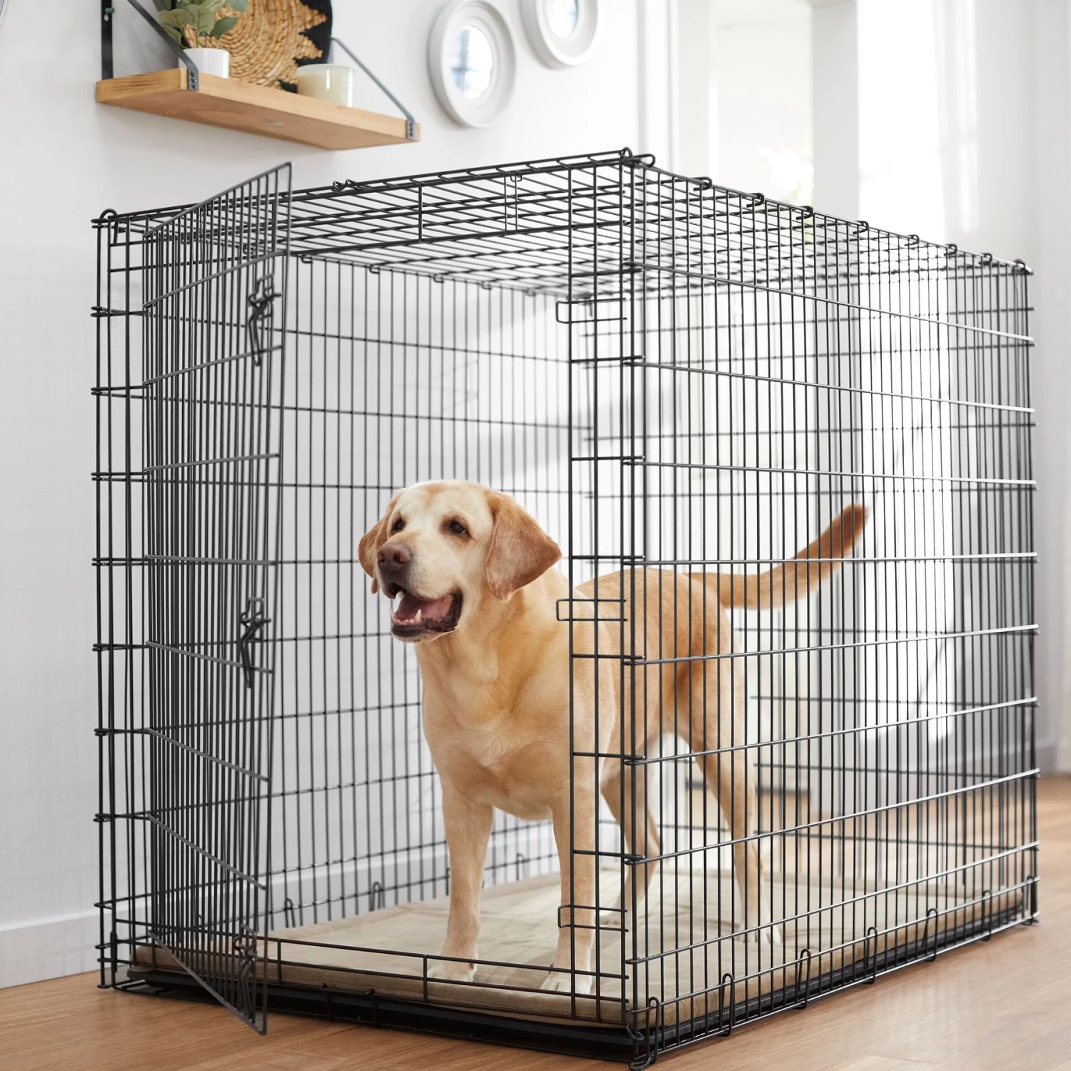 Frisco Heavy Duty Single Door Wire Dog Crate 1 Frisco Heavy Duty Single Door Wire Dog Crate