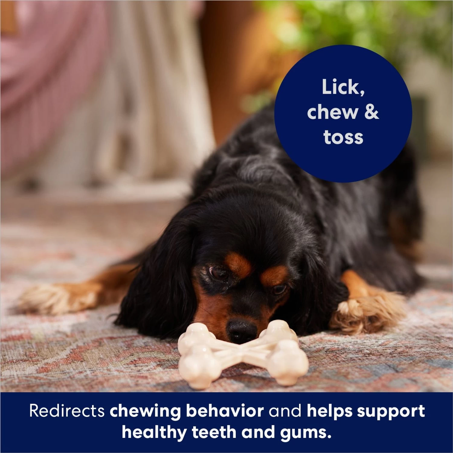 Frisco Chicken Flavor Tough Nylon Dog Chew Toy 5 Frisco Chicken Flavor Tough Nylon Dog Chew Toy - Image 5