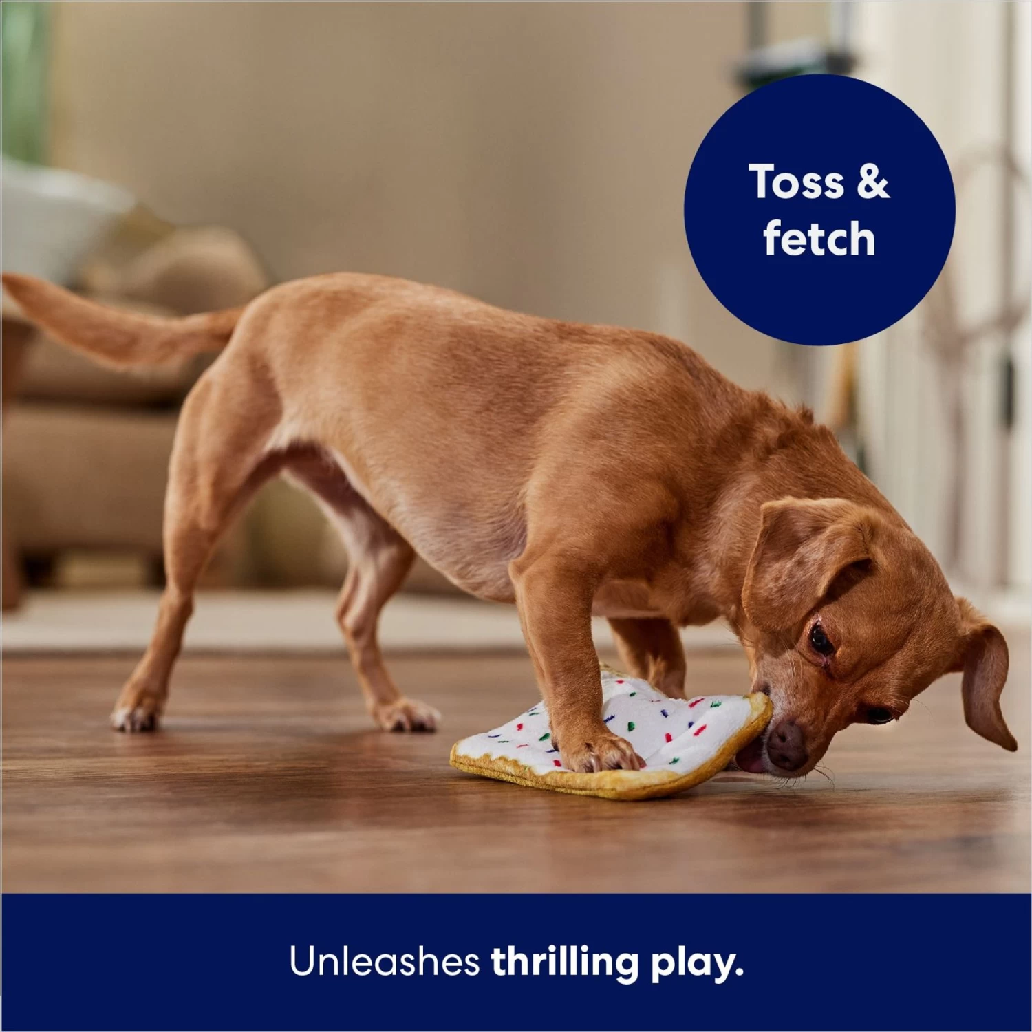 Frisco Frosted Pastry Stuffing-Free Flat Plush Squeaky Dog Toy 5 Frisco Frosted Pastry Stuffing-Free Flat Plush Squeaky Dog Toy - Image 5