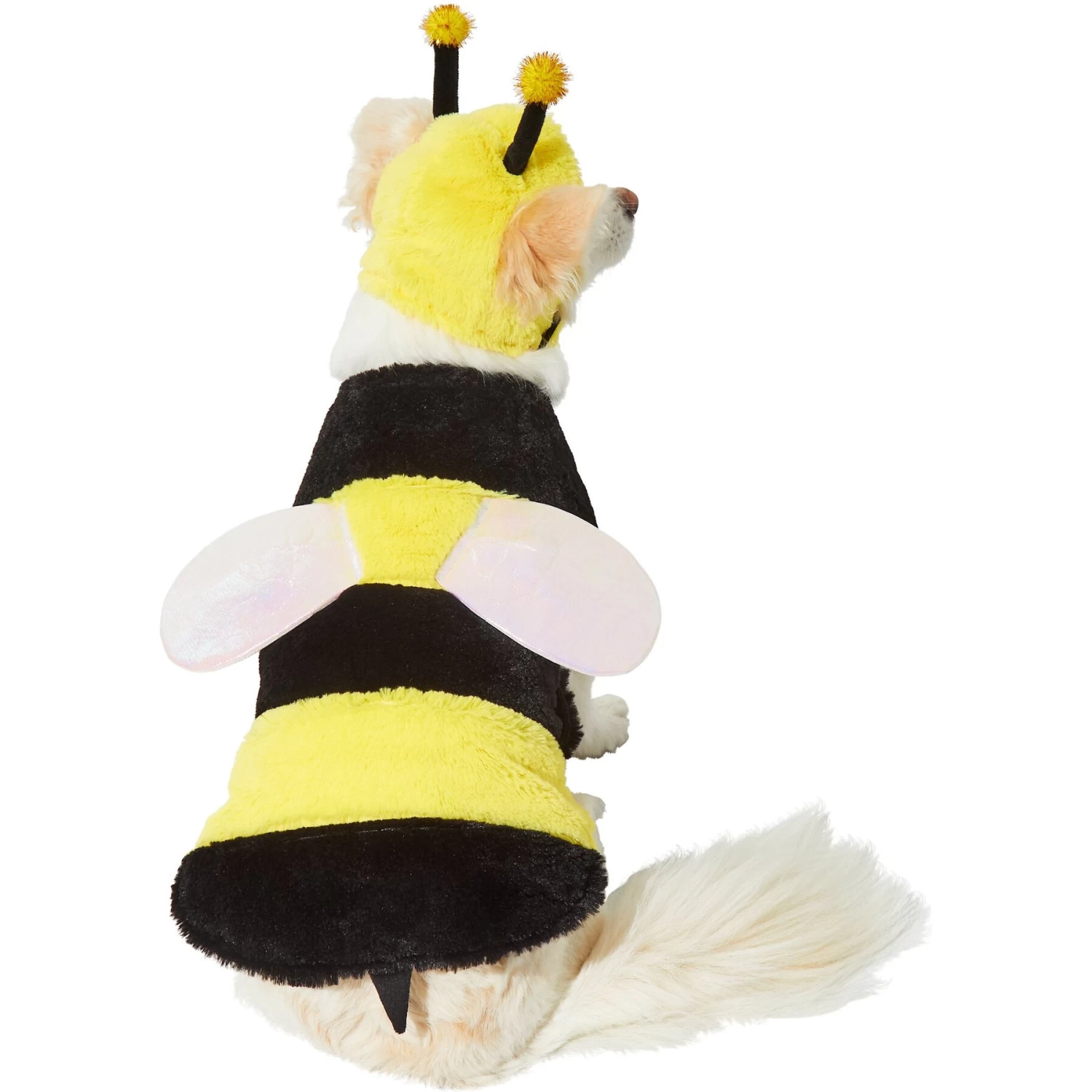Frisco Bumble Bee Dog & Cat Costume 3 Frisco Bumble Bee Dog & Cat Costume - Image 3