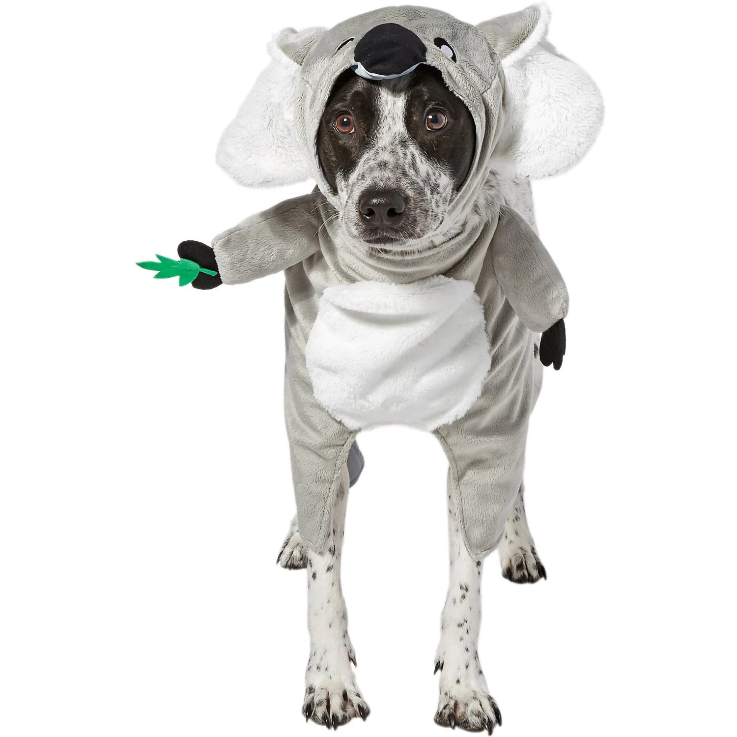 Frisco Front Walking Koala Dog & Cat Costume 1 Frisco Front Walking Koala Dog & Cat Costume