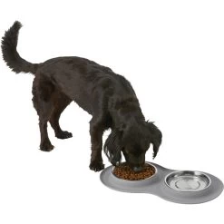 Frisco Double Stainless Steel Pet Bowl With Silicone Mat 13 Frisco Double Stainless Steel Pet Bowl With Silicone Mat -Frisco 215986 PT5. AC SS1800 V1605652436