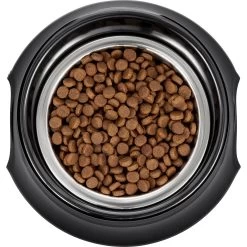 Frisco Stainless Steel Bowl With Elevated Stand -Frisco 216020 PT4. AC SS1800 V1591020427