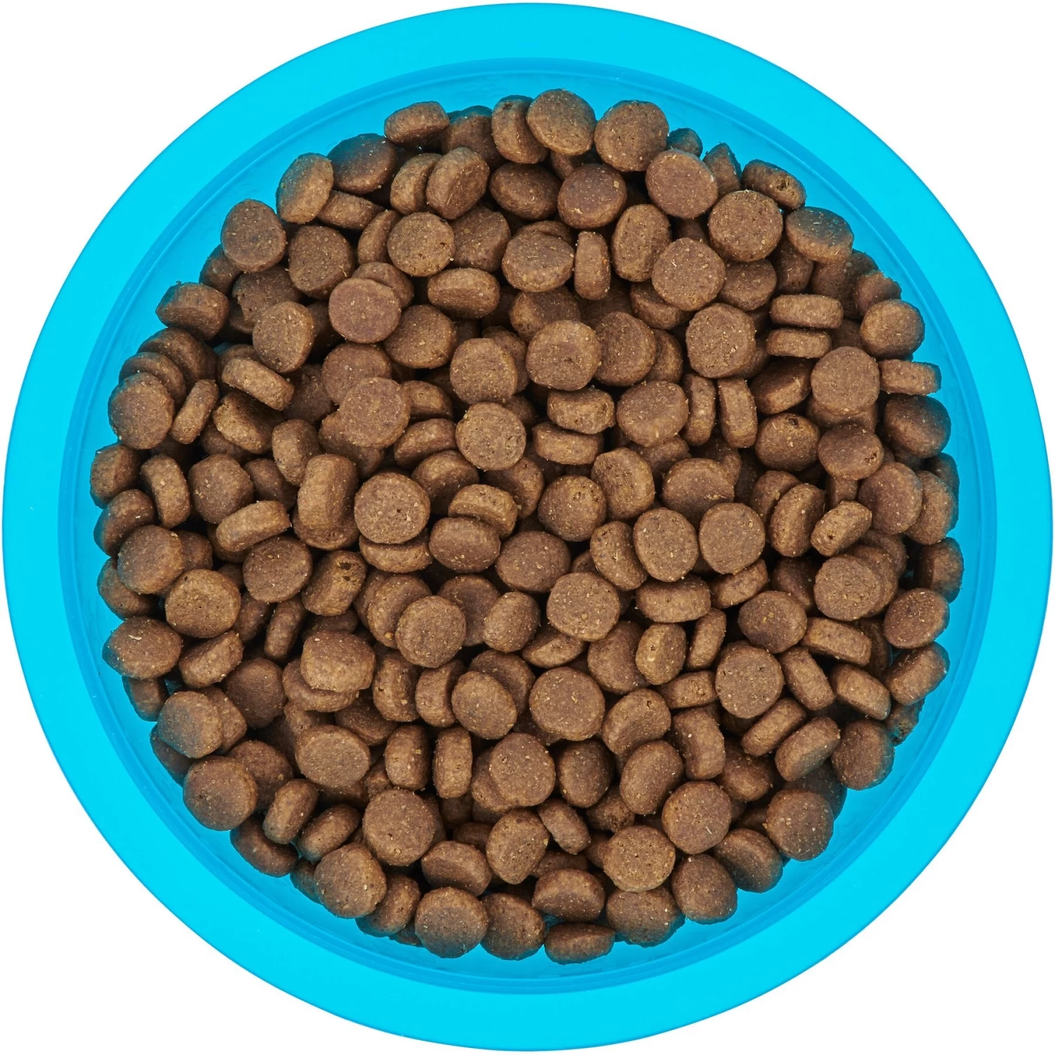 Frisco Plastic Suction Bowl, Blue 5 Frisco Plastic Suction Bowl, Blue - Image 5