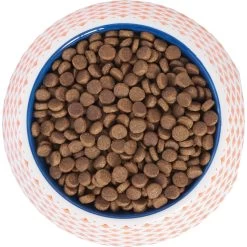 Frisco Southwest Melamine Bowl 11 Frisco Southwest Melamine Bowl -Frisco 216064 PT4. AC SS1800 V1591021009