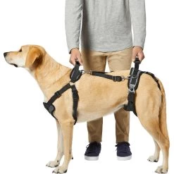 Frisco Front & Rear Lift Handicapped Support Dog Harness 9 Frisco Front & Rear Lift Handicapped Support Dog Harness -Frisco 220372 PT5. AC SS1800 V1605749597