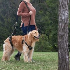 Frisco Front & Rear Lift Handicapped Support Dog Harness 11 Frisco Front & Rear Lift Handicapped Support Dog Harness -Frisco 220372 PT7. AC SS1800 V1605738439