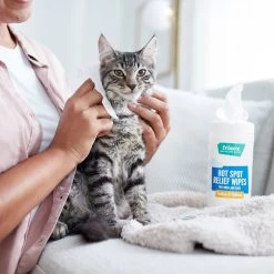 Frisco Hot Spot Relief Wipes 6 Frisco Hot Spot Relief Wipes -Frisco 222163 PT2. AC SS1800 V1602831392