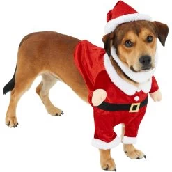 Frisco Front Walking Santa Dog & Cat Costume, 1 Count -Frisco 228785 PT3. AC SS1800 V1631300866