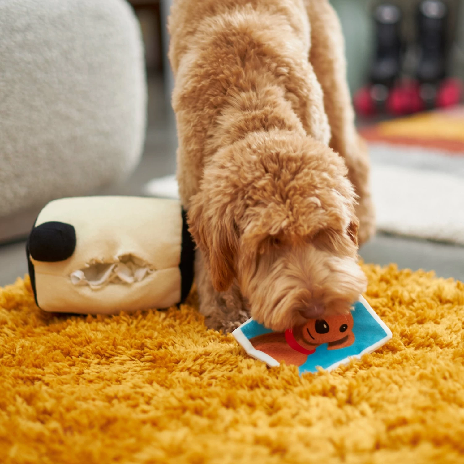 Frisco Retro Camera 2-in-1 Rip For Surprise Plush Squeaky Dog Toy 3 Frisco Retro Camera 2-in-1 Rip For Surprise Plush Squeaky Dog Toy - Image 3