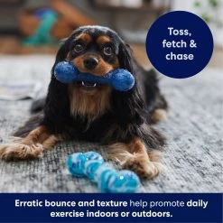 Frisco Retro Denim & Swirl TPR Bone Squeaky Dog Toy 10 Frisco Retro Denim & Swirl TPR Bone Squeaky Dog Toy -Frisco 230341 PT4. AC SS1800 V1695748896