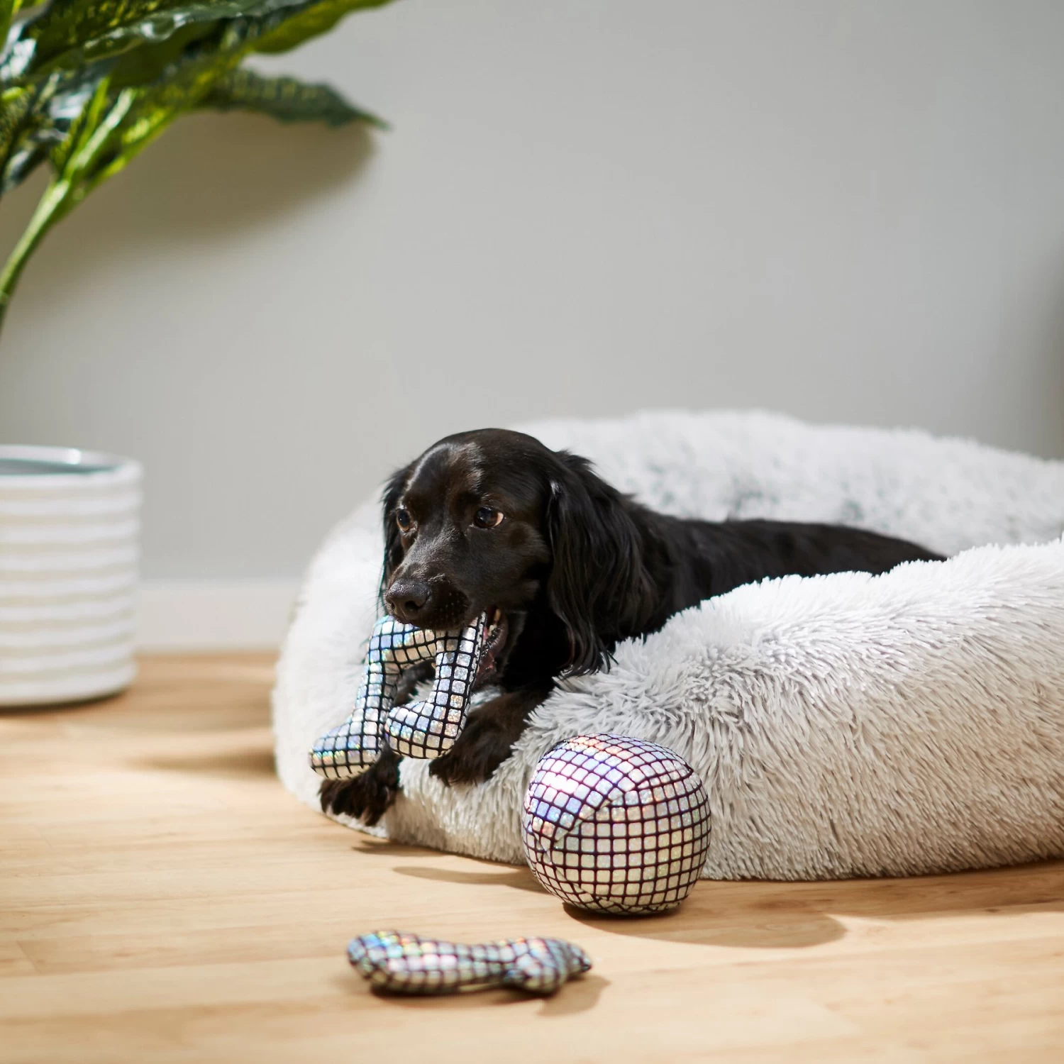 Frisco Retro Plush Squeaky Disco Dog Toy 3 Frisco Retro Plush Squeaky Disco Dog Toy - Image 3